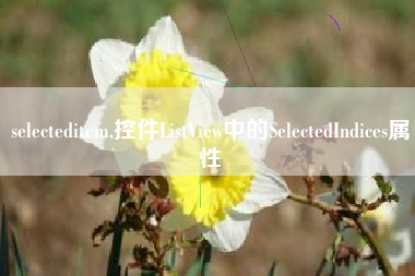 selecteditem,控件ListView中的SelectedIndices属性