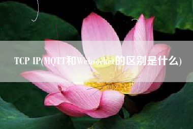 TCP IP(MQTT和Websocket的区别是什么)