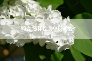 畸变,怎样控制单反畸变