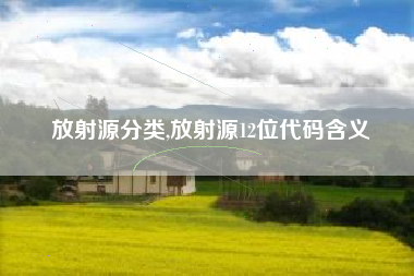 放射源分类,放射源12位代码含义