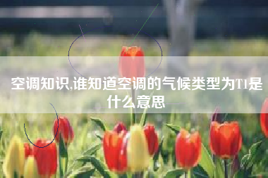 空调知识,谁知道空调的气候类型为T1是什么意思