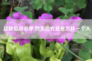 总裁培训名单,刘天池究竟是怎样一个人