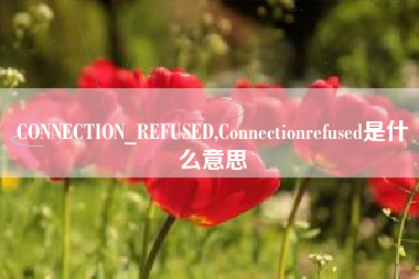 CONNECTION_REFUSED,Connectionrefused是什么意思