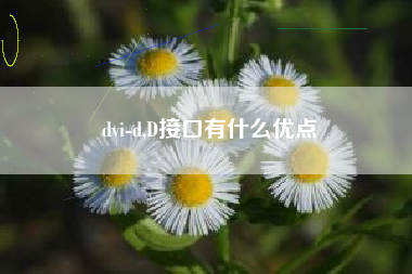 dvi-d,D接口有什么优点