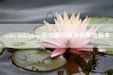 cydia shsh,iphone怎么刷回原来的系统版本