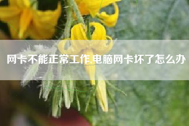 网卡不能正常工作,电脑网卡坏了怎么办
