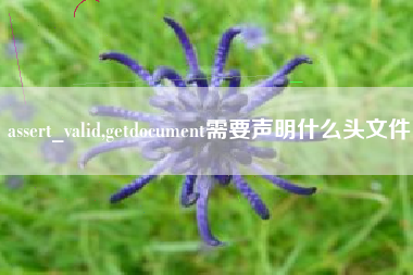 assert_valid,getdocument需要声明什么头文件
