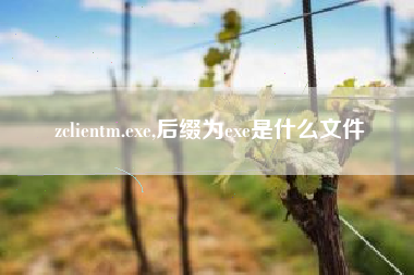 zclientm.exe,后缀为exe是什么文件