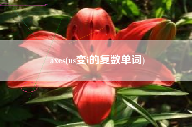 axes(us变i的复数单词)