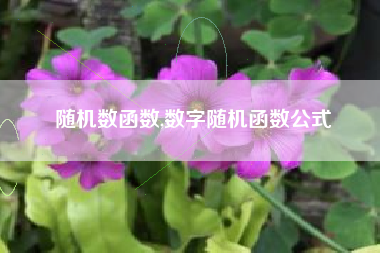 随机数函数,数字随机函数公式