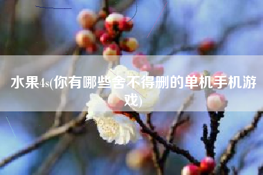 水果4s(你有哪些舍不得删的单机手机游戏)