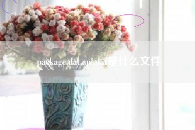 package.dat,apkdat是什么文件