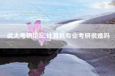 武大考研论坛,计算机专业考研很难吗