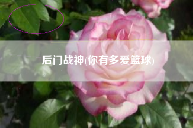 后门战神(你有多爱篮球)