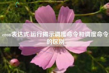 cron表达式,运行揭示调度命令和调度命令的区别
