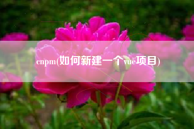 cnpm(如何新建一个vue项目)