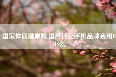 国家体质健康网,国产其它手机品牌会用HMS么