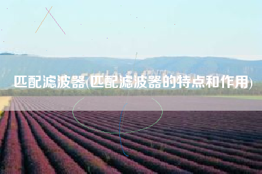 匹配滤波器(匹配滤波器的特点和作用)
