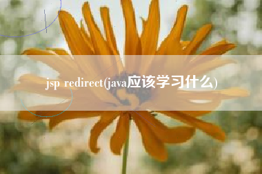 jsp redirect(java应该学习什么)