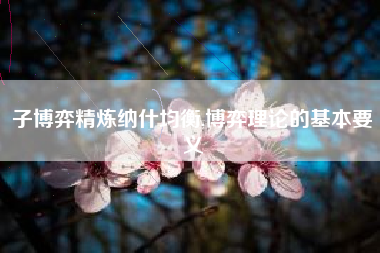 子博弈精炼纳什均衡,博弈理论的基本要义