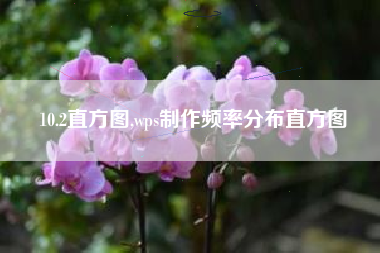 10.2直方图,wps制作频率分布直方图