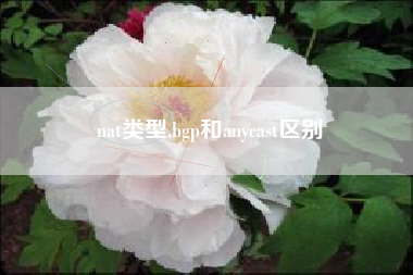 nat类型,bgp和anycast区别