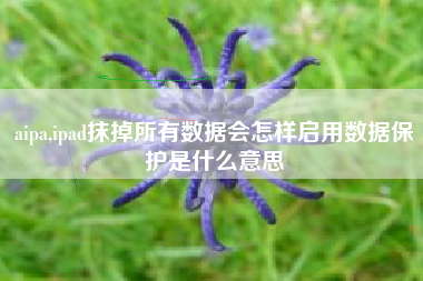 aipa,ipad抹掉所有数据会怎样启用数据保护是什么意思