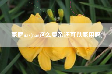 家庭nas(nas这么复杂还可以家用吗)