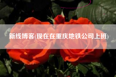 新线博客(现在在重庆地铁公司上班)