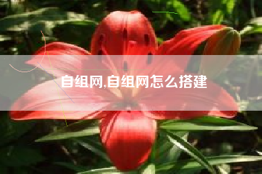 自组网,自组网怎么搭建