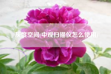 灰度空间(中观扫描仪怎么使用)