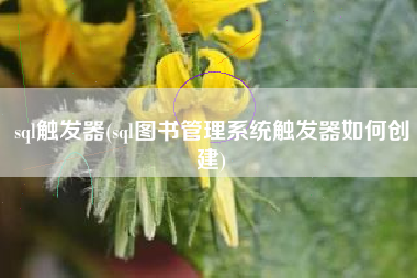 sql触发器(sql图书管理系统触发器如何创建)