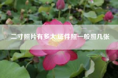二寸照片有多大,证件照一般照几张