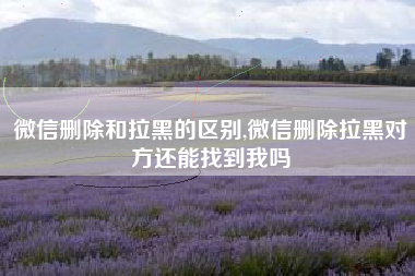 微信删除和拉黑的区别,微信删除拉黑对方还能找到我吗