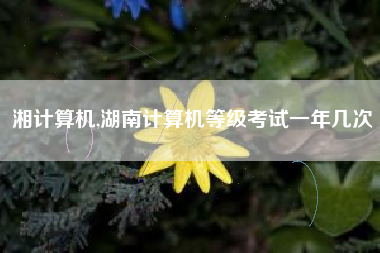 湘计算机,湖南计算机等级考试一年几次