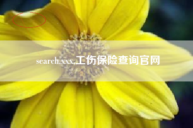 search.xxx,工伤保险查询官网