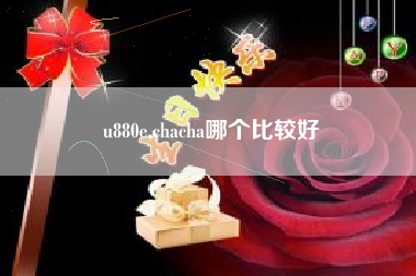 u880e,chacha哪个比较好