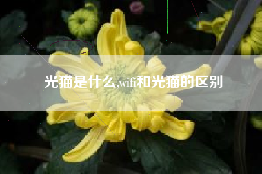 光猫是什么,wifi和光猫的区别