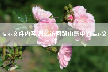 hosts文件内容,怎么访问路由器中的hosts文件