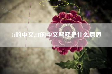 it的中文,IT的中文解释是什么意思