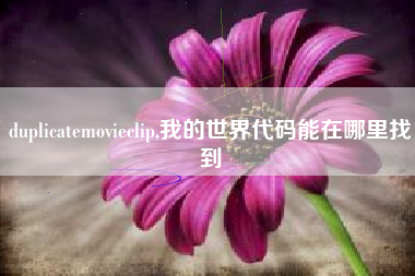duplicatemovieclip,我的世界代码能在哪里找到
