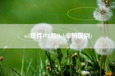 vcl控件(VB和Delphi的区别)
