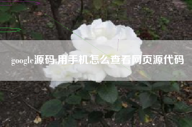 google源码,用手机怎么查看网页源代码