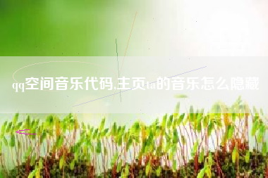 qq空间音乐代码,主页ta的音乐怎么隐藏
