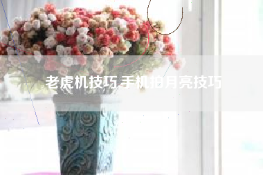 老虎机技巧,手机拍月亮技巧