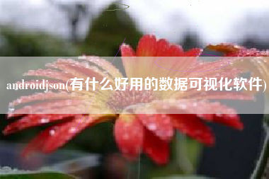 androidjson(有什么好用的数据可视化软件)