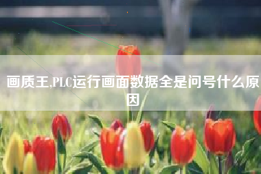 画质王,PLC运行画面数据全是问号什么原因