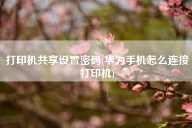 打印机共享设置密码(华为手机怎么连接打印机)