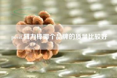 povit,臂力棒哪个品牌的质量比较好