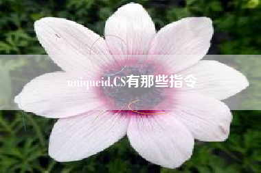uniqueid,CS有那些指令